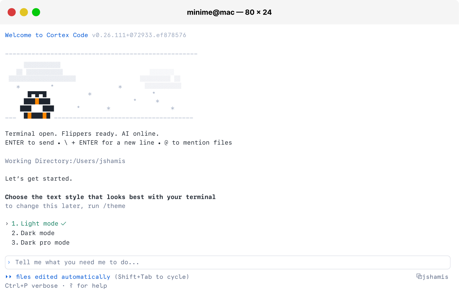 Cortex Code welcome screen in the terminal with theme selection